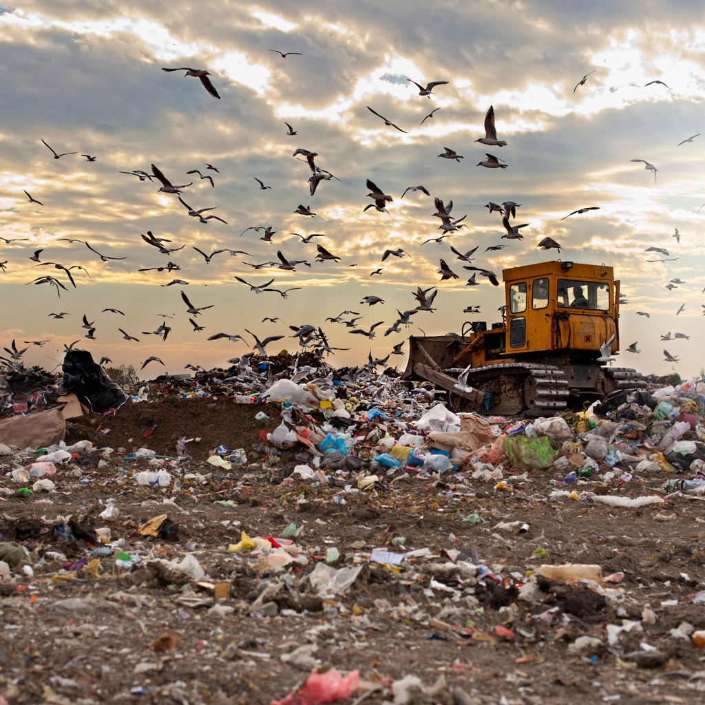 Putting the Brakes on Fast Fashion