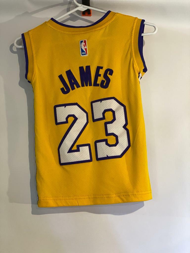 Nike NBA Authentic Icon Los Angeles Lakers LeBron James #23 Jersey S